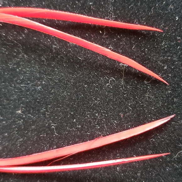 Dyed Red Feather🪶 Earrings ✨️ - Picture 4 of 6